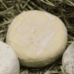 fromage lactique mi-sec de vache : vacheron