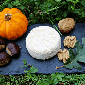 Fromage de chèvre sec
