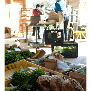 Logo de VENDREDI - FERME DE LACOSTE-