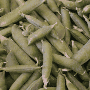 Petits pois à écosser