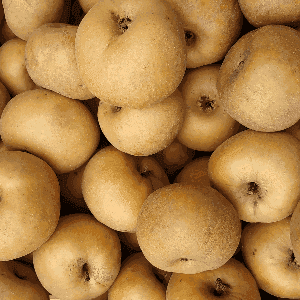 1Kg Pomme Reinette grise du Canada