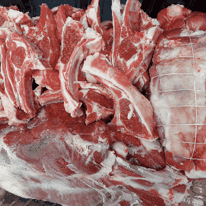 Viande jeunes brebis en caissette