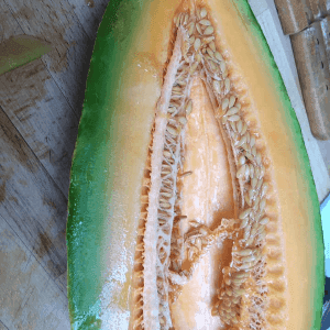 plant bio de melon BANANA