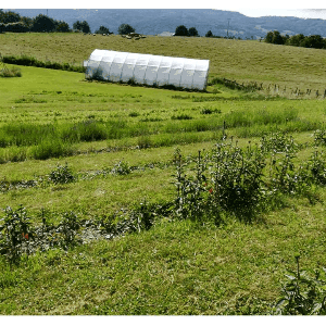 Le Jardin des Malices