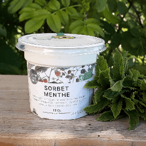 sorbet menthe 12 cl