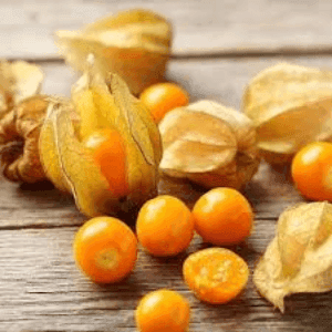 Bardérou plant Physalis