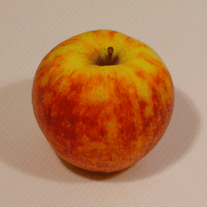 Pomme Gala