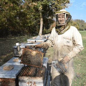 Propolis bio [ GAEC Noir d'Abeilles