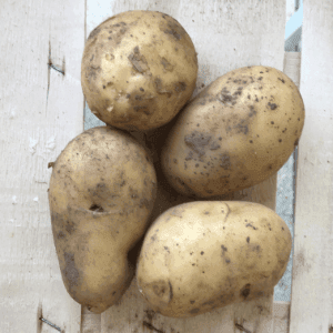 Pomme de terre Nouvelle