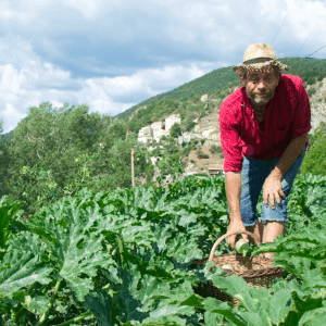 Ferme des Bourfiers