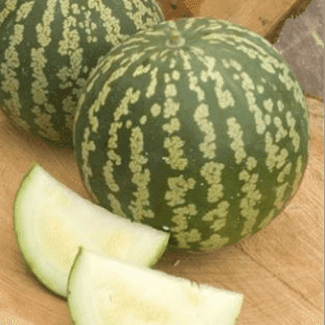 Melon à confiture
