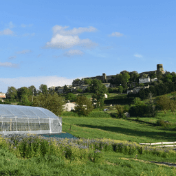 Les Jardins de Verfeil #1