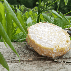 Fromage sec