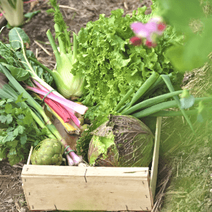 Abonnement petit panier