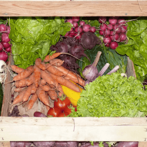 Gros panier de légumes de saison