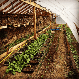 Le Croque Jardin #5