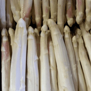 Asperge blanche
