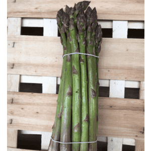 Asperge verte