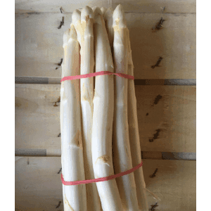 Asperge blanche