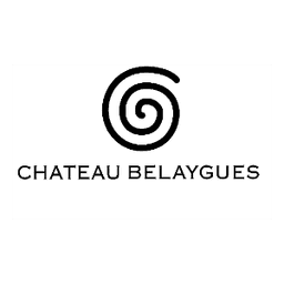 Château de Belaygues #5