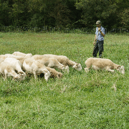 GAEC DE LA FERME D'EN GOUT #1