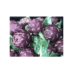 Artichaut violet