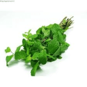 Menthe bouquet