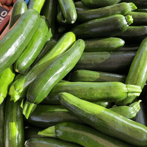 Courgette longue