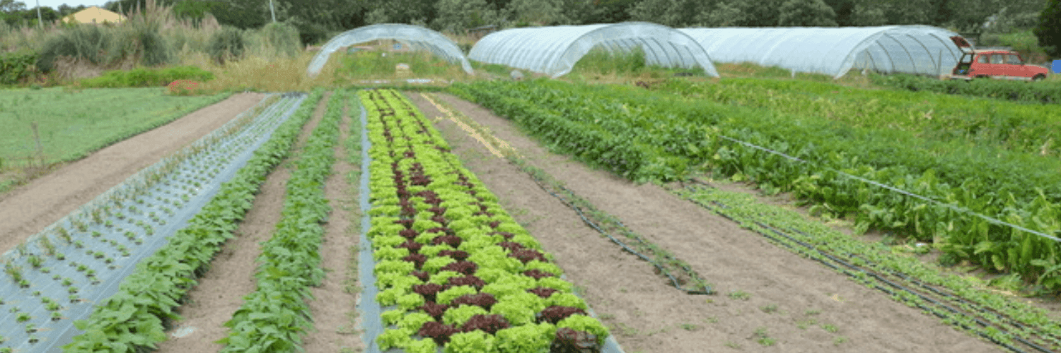 Bannière de Les jardins de la chaume
