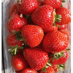 Fraises Si STOCK NUL Att. Did +