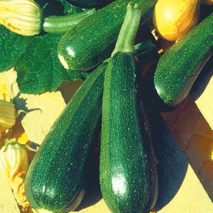 courgettes