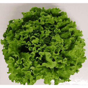 Salade