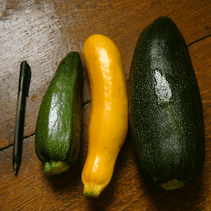 Courgettes