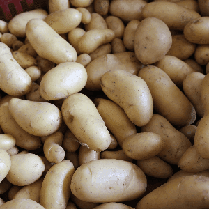 Pommes de terre - La Barraque