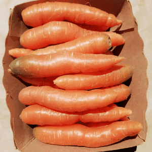 Tite'carottes apéro