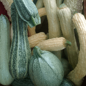 courgettes