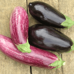 Aubergines