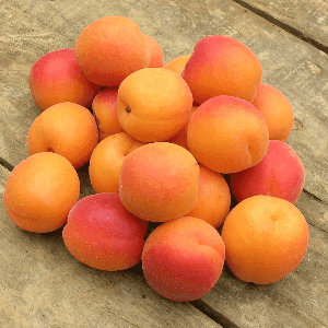 Abricots