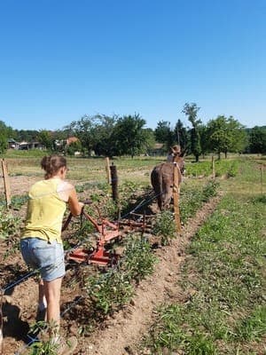 Les Jardins de Martel