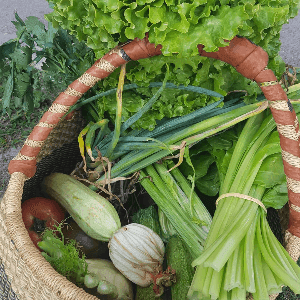 Panier de légumes bio