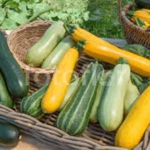 Courgette