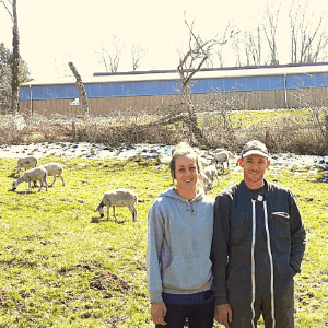 GAEC La ferme des Sonnailles