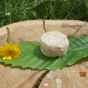 Crottin de chèvre