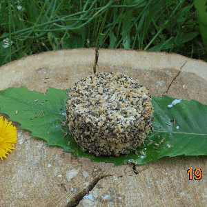 Crottin frais de chèvre  ail-poivre