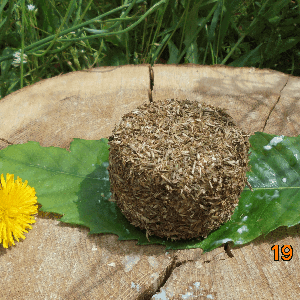 Crottin frais de chèvre aux herbes de Provence