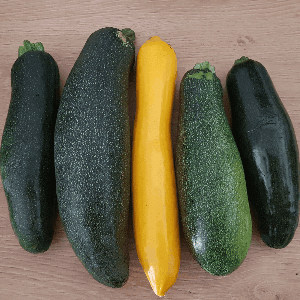 Courgettes