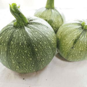 Courgettes Rondes