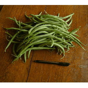 Haricots verts