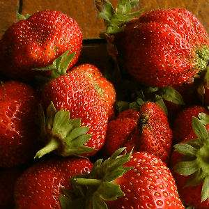 Fraises