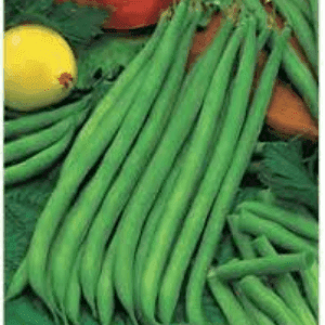 haricot vert